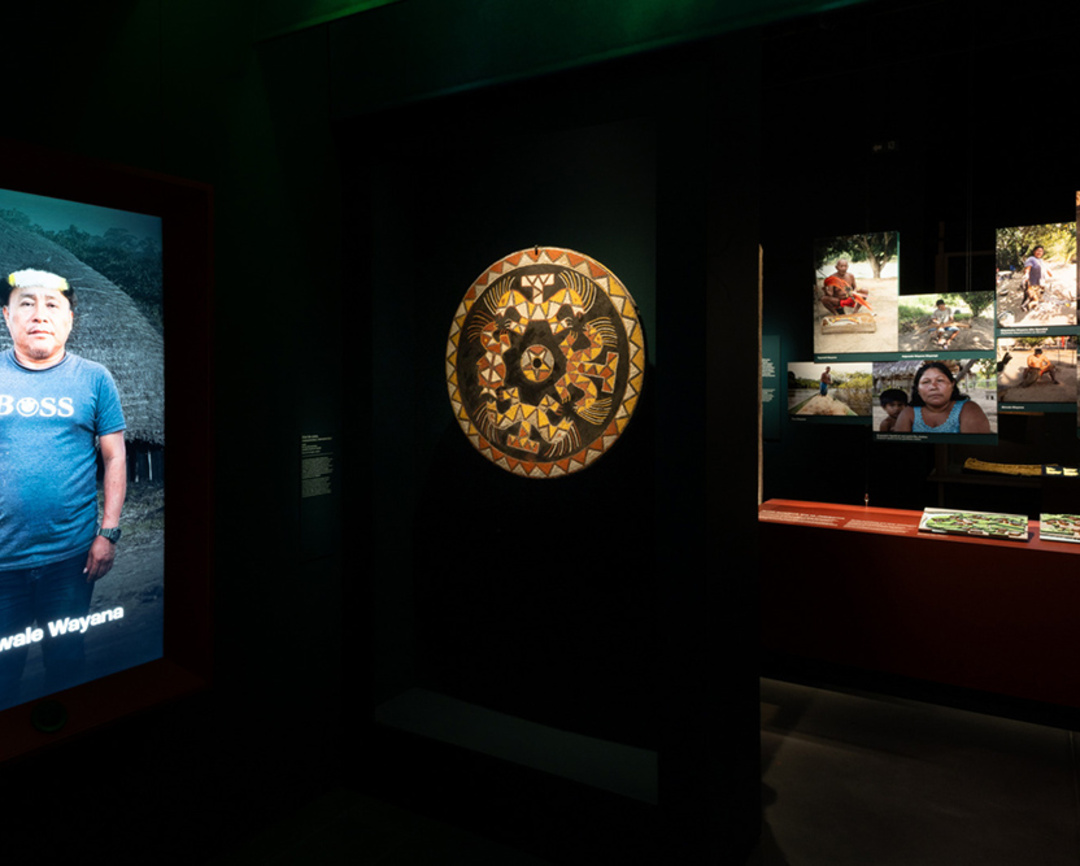 Exposition Amazonies