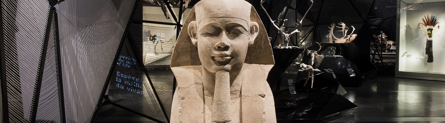 Exposition Espèces, la maille du vivant