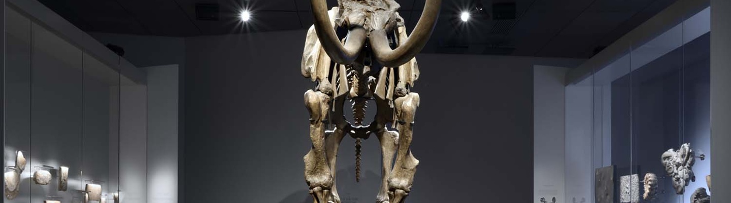 Exposition Origines, les récits du monde