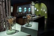Exposition La Terre en héritage, du Néolithique à nous
