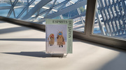 Esprits du Japon. Charles Fréger et la collection japonaise du musée des Confluences