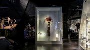 Exposition Espèces, la maille du vivant