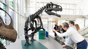 Installation d'un allosaure dans les locaux de bioMérieux