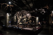 Exposition Origines, les récits du monde