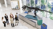 Installation d'un allosaure dans les locaux de bioMérieux