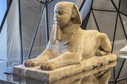 Exposition Espèces, la maille du vivant