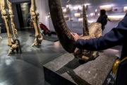 Exposition Origines, les récits du monde