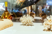 Exposition Carnets de collections