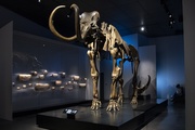 Exposition Origines, les récits du monde