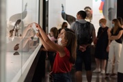 Exposition L'oiseau rare, de l'hirondelle au kakapo