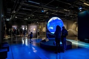 Exposition La Terre en héritage, du Néolithique à nous