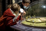 Exposition La Terre en héritage, du Néolithique à nous