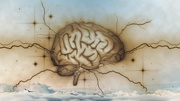 Le cerveau fait son monde
