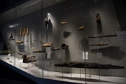 Exposition Espèces, la maille du vivant