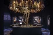 Exposition Magique