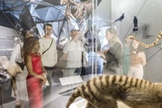 Exposition Espèces, la maille du vivant