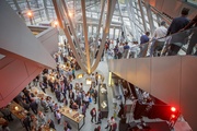 Cristal, hall d'entrée du musée des Confluences