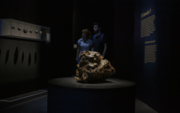 Exposition Secrets de la Terre