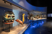 Exposition Nous, les fleuves