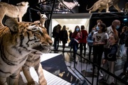 Exposition Espèces, la maille du vivant