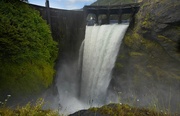 Le fleuve Elwha : quand la nature reprend ses droits