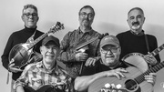 The Strings Fellows