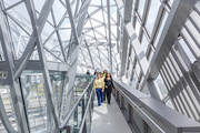 Passerelle musée des Confluences
