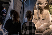 Exposition Espèces, la maille du vivant - visite scolaire