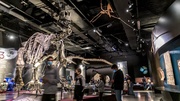 rencontre Quels musées pour aujourd'hui ?