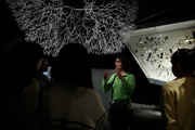 Visites flash
