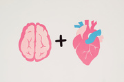 Quand le cerveau tombe amoureux