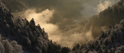 Vosges