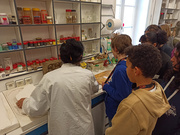Découverte des métiers pour les élèves de seconde