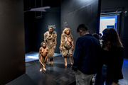 Hominidées, exposition Origines