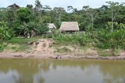 Visite littéraire Amazonies