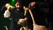 Marjan, le dernier lion d’Afghanistan