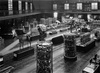 Vue d’ensemble de la grande salle du Muséum d’histoire naturelle de Lyon, depuis la galerie (1920-1960)
