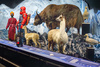 Exposition "Trop forts !"