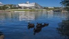 Vue sur le musée des Confluences depuis le parc Gerland avec oiseaux au premier plan
