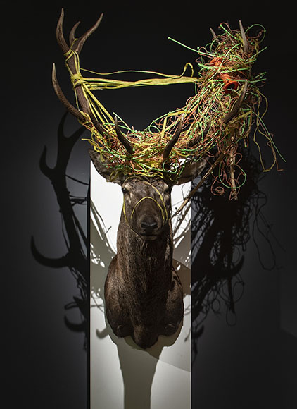Exposition La Terre en héritage, du Néolithique à nous