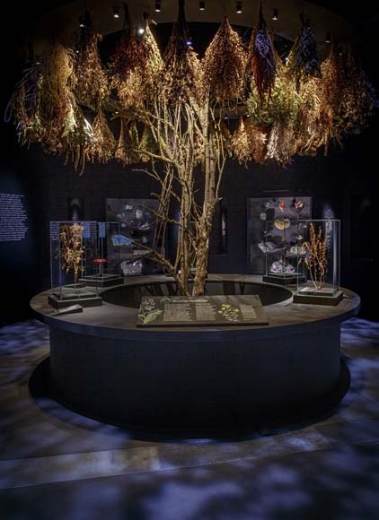 Exposition Magique
