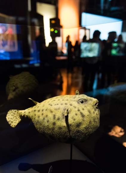 Exposition Venenum, un monde empoisonné