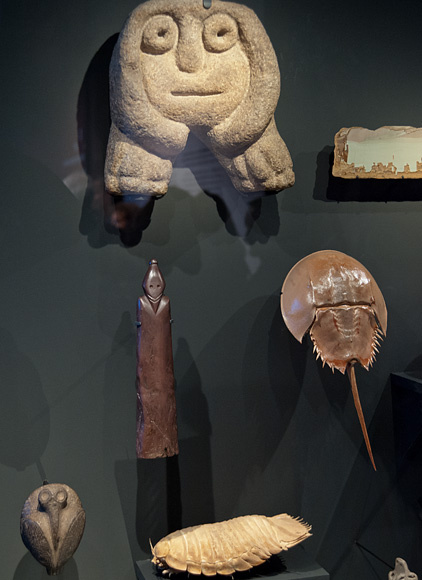 Exposition Une fenêtre sur les Confluences