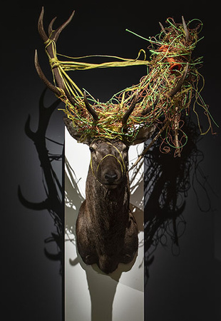 Exposition La Terre en héritage, du Néolithique à nous