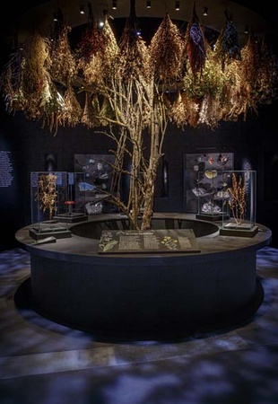 Exposition Magique